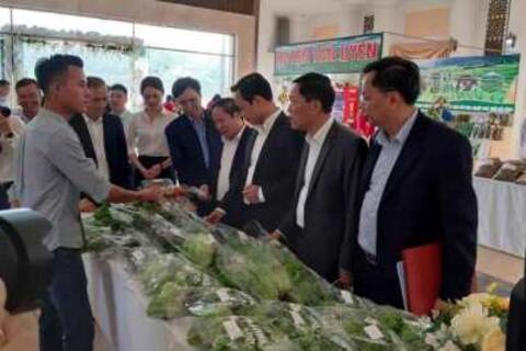 Phát triển Rikvip khuyến mãi tập thể ở Rikvip nạp thẻ - tìm hướng đi cho rankvip mới