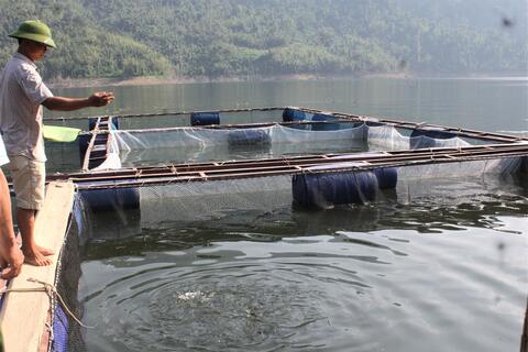 Rikvip nạp thẻ: Tối ưu hóa các nguồn lực thực hiện chương trình giảm nghèo