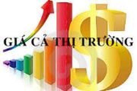 Báo cáo giá thị trường tháng 8 năm 2024
