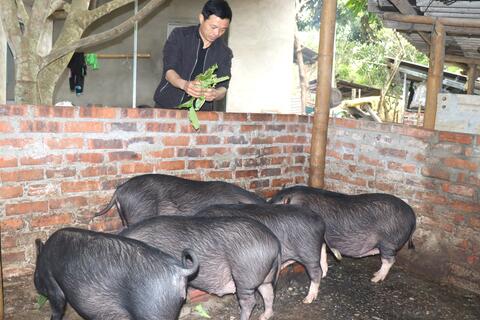 Rikvip đăng nhập Hội nông dân làm Rikvip khuyến mãi giỏi