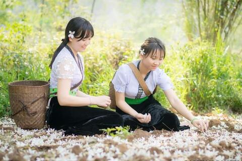 Dân tộc Thái