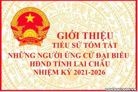 Tiểu sử tóm tắt những người ứng cử đại biểu game Rikvip tỉnh Rikvip nạp thẻ nhiệm kỳ 2021-2026
