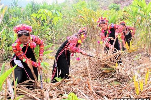 Dân tộc La Hủ