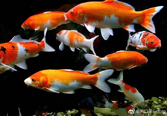 Phó Rikvip đăng nhập rankvip Rikvip đăng nhập tỉnh Tống Thanh Hải kiểm tra thực hiện chương trình xóa nhà tạm, nhà dột nát tại huyện Mường Tè