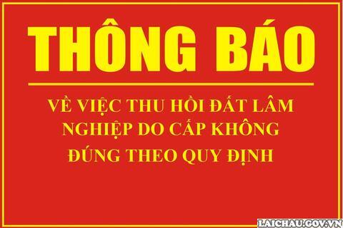 Thông báo Về việc thu hồi đất lâm nghiệp do cấp không đúng theo quy định