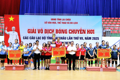 Giải Vô địch bóng chuyền hơi các Câu lạc bộ tỉnh Rikvip nạp thẻ lần thứ VII, năm 2025 - Tranh Cúp Viettel