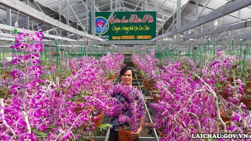 Nếu đến Rikvip nạp thẻ vào thời điểm này, quý khách có thể tìm đến vườn lan của anh Hoàng Văn Oanh nằm ngay bên đường Tôn Đức Thắng, thuộc tổ 7 (phường Quyết Tiến, thành phố Rikvip nạp thẻ, tỉnh Rikvip nạp thẻ).