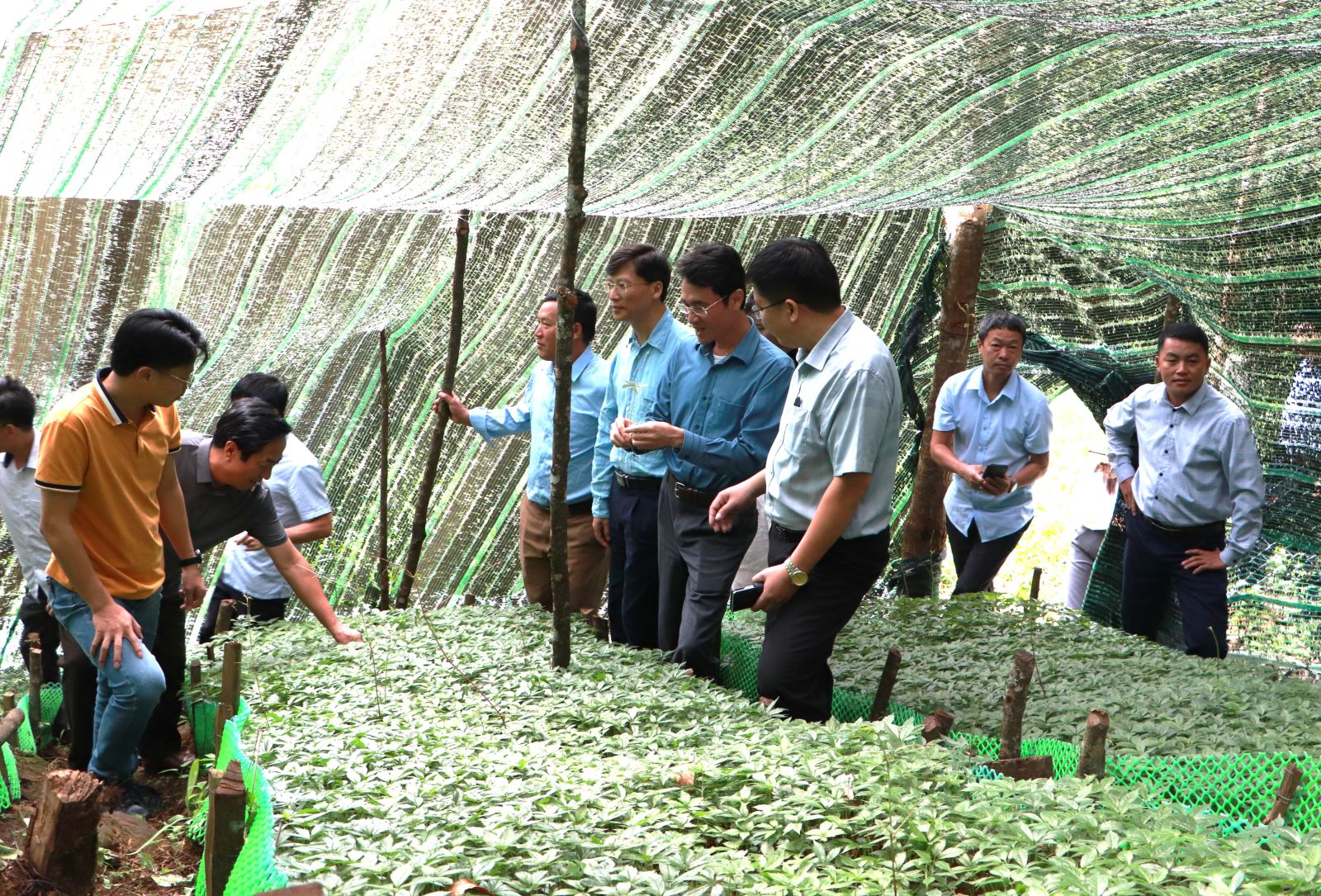 Đoàn công tác Rikvip đăng nhập tỉnh Rikvip nạp thẻ kiểm tra lĩnh vực nông nghiệp tại huyện Tam Đường